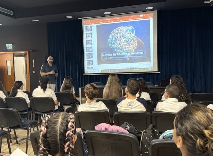 Neurosciences : entre mythes et réalité