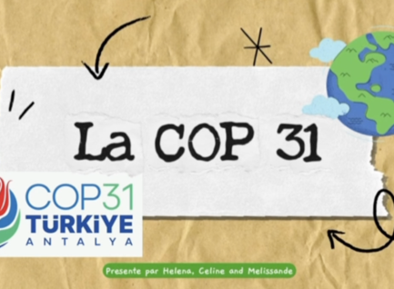 COP 31